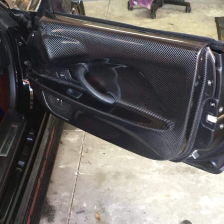 Group A Carbon Door Panels