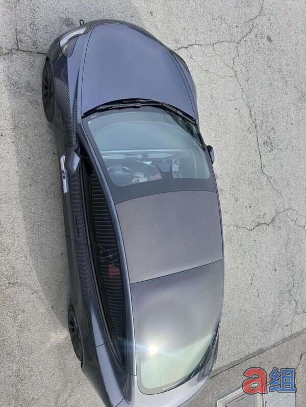 Group A Tesla Model 3 Roof Replacement Panel - Dry Carbon