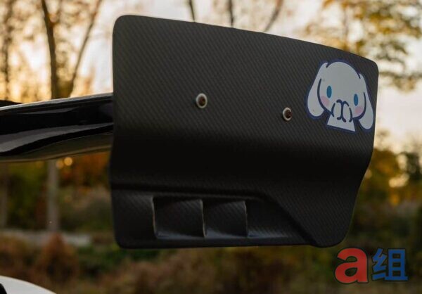 Group A G1 GT Wing Endplates - Pre-Preg Dry Carbon - photo 6