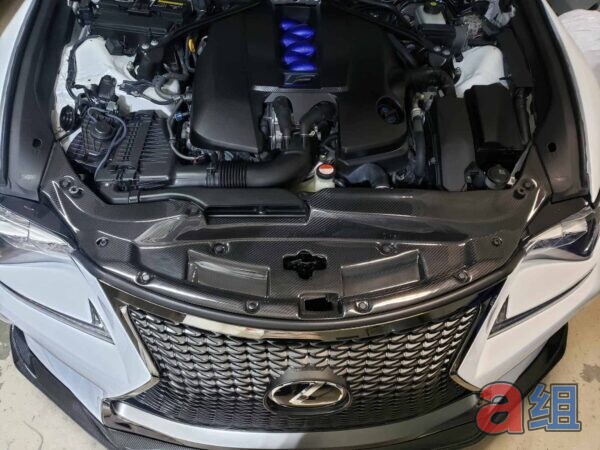 Group A Lexus RC-F Radiator Cooling Plate - Pre-Preg Dry Carbon (2015+) - photo 5